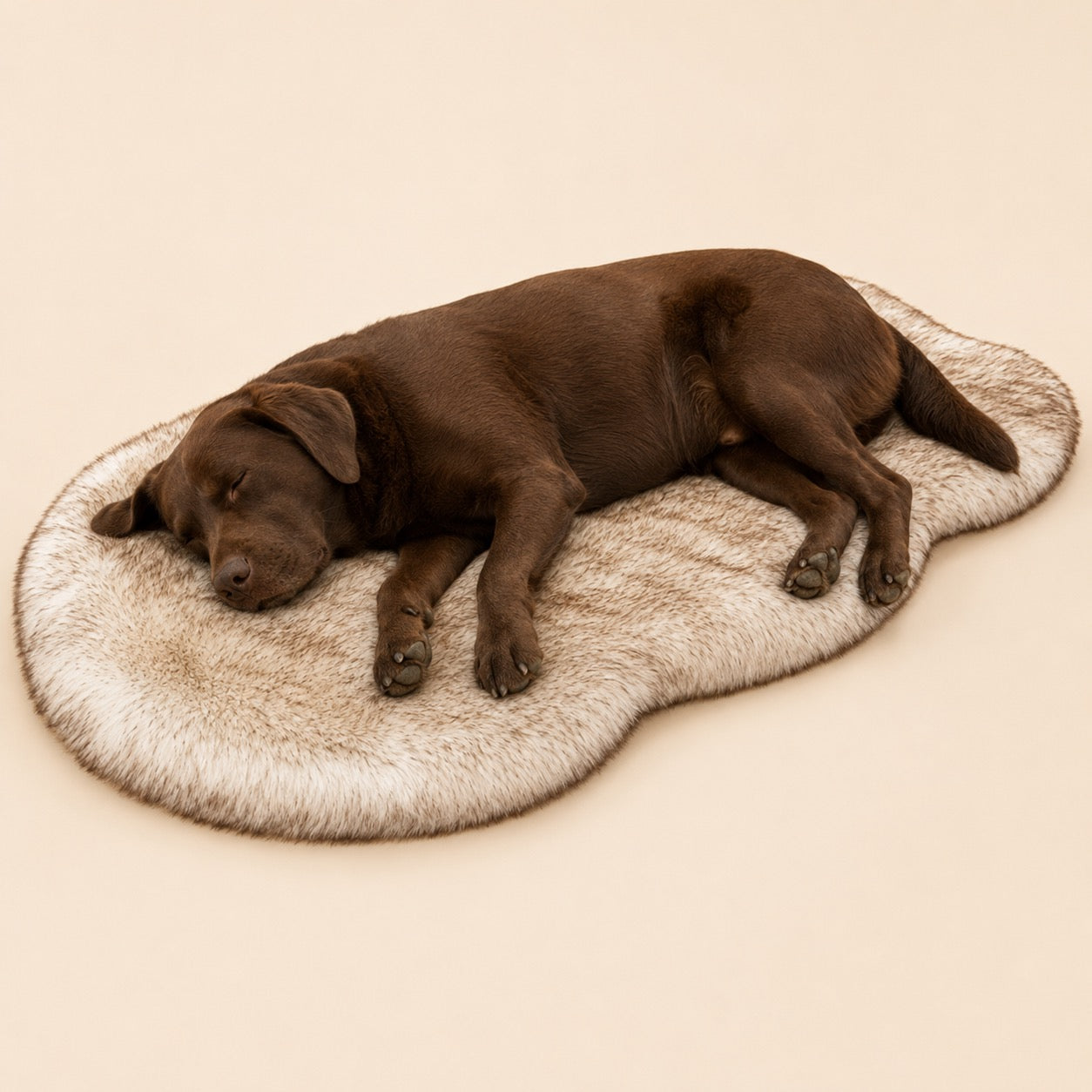 The Nuage Orthopedic Bed™