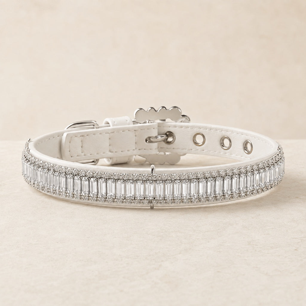 The Solè Bijoux Collar Set