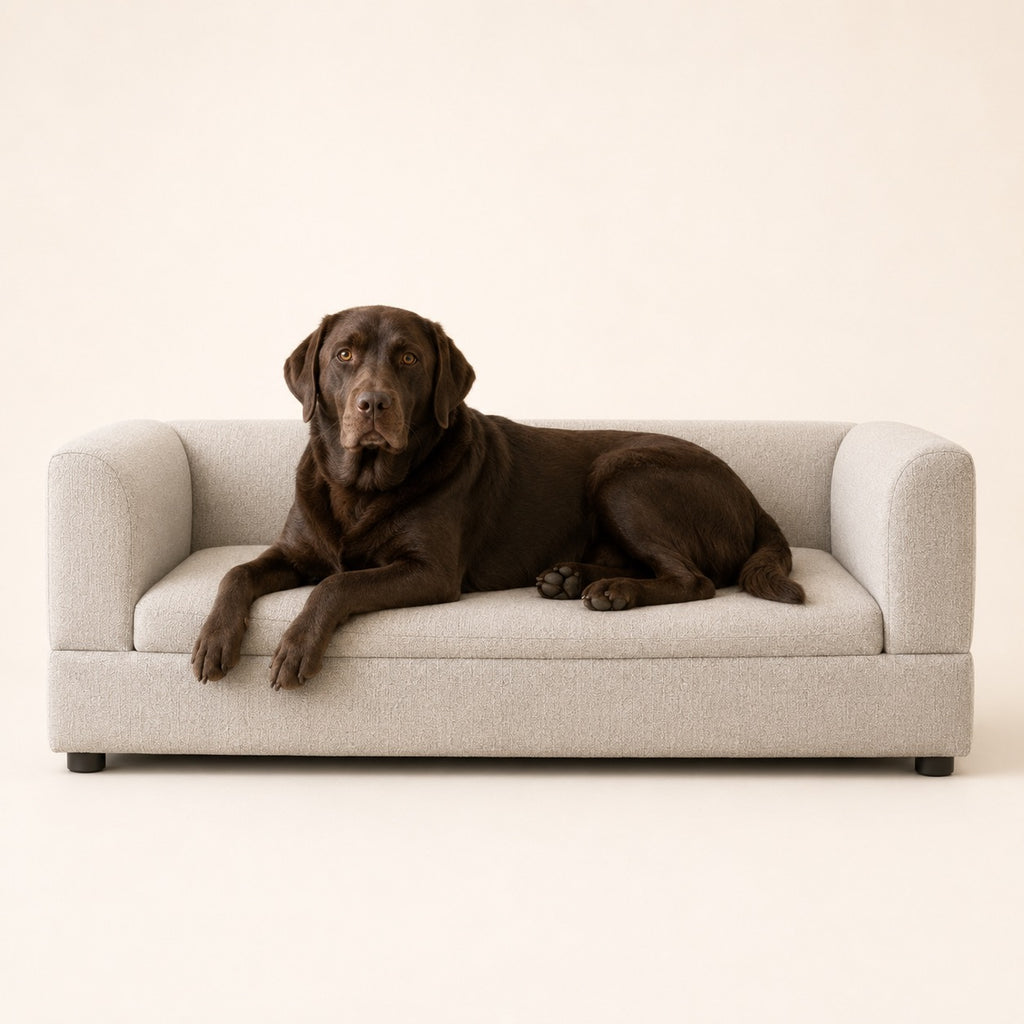 The Clairmont Daybed™