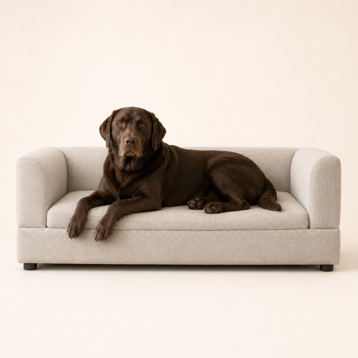 The Clairmont Daybed™